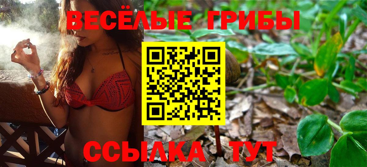 Янаул  Псилоцибиновые грибы Psilocybe  Вход с VPN 