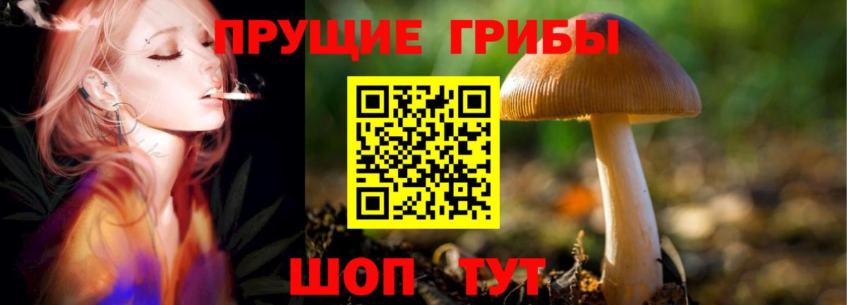 Псилоцибиновые грибы мухоморы Янаул